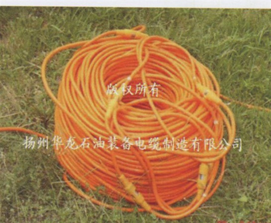IMAGEE(II)电缆